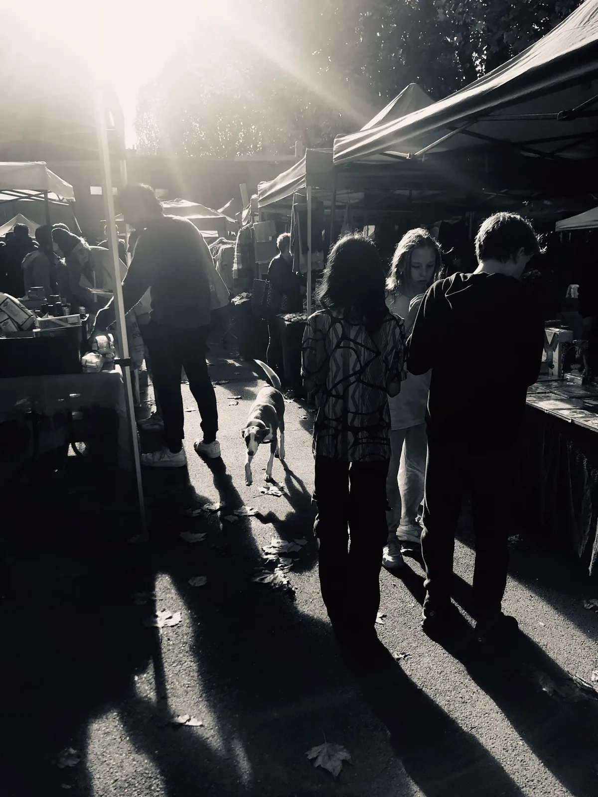 Shoppers and a dog browsing canopied stalls at Stroud Green Market on a sunny Sunday morning
