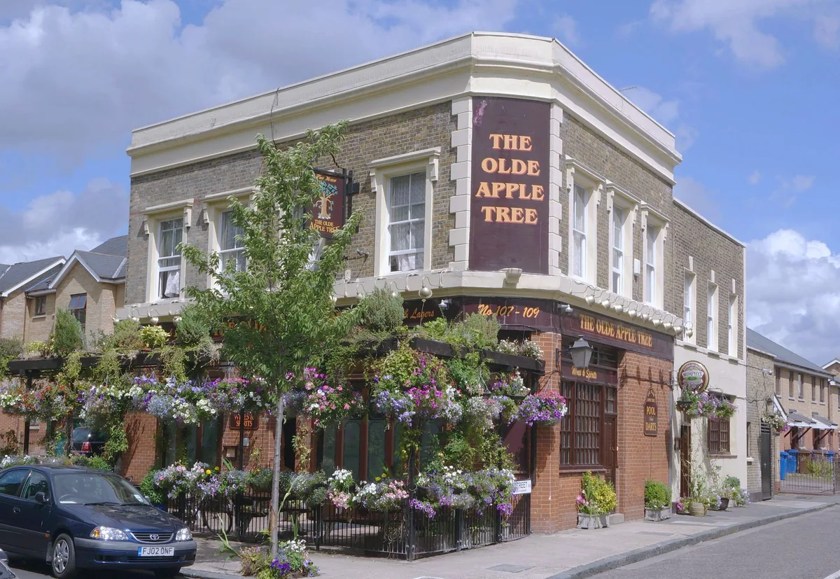 The Old Apple Tree, pool in Peckham