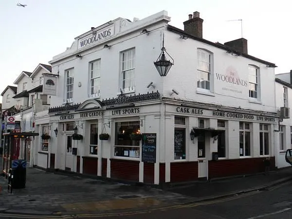 The Woodlands Tavern, pool in Isleworth