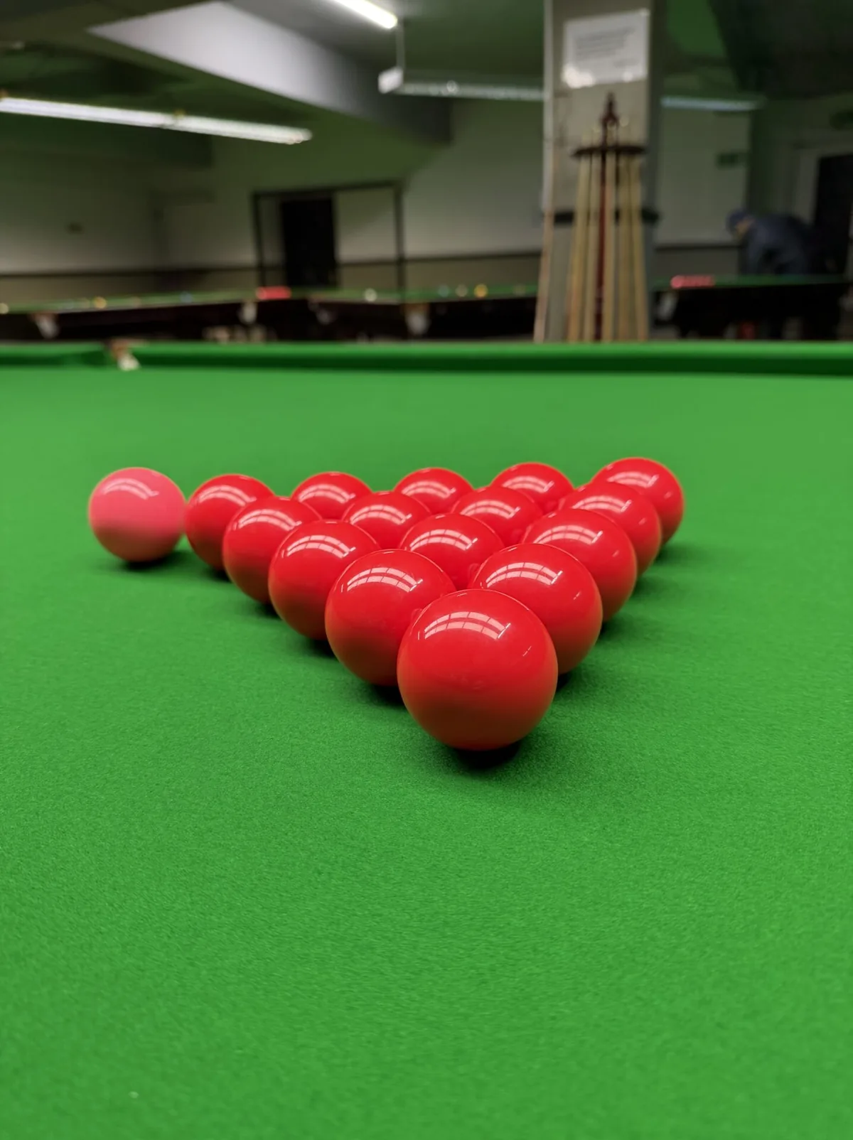 Whetstone Snooker Club, pool in Whetstone