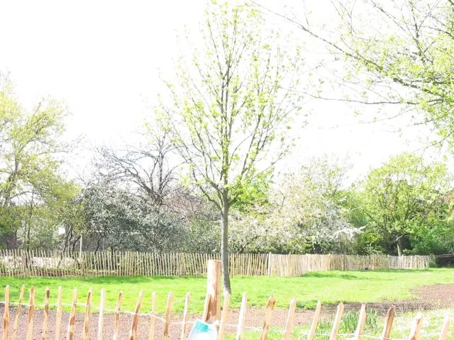 Whittington Park, ping-pong in Upper Holloway / Archway